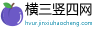 横三竖四网